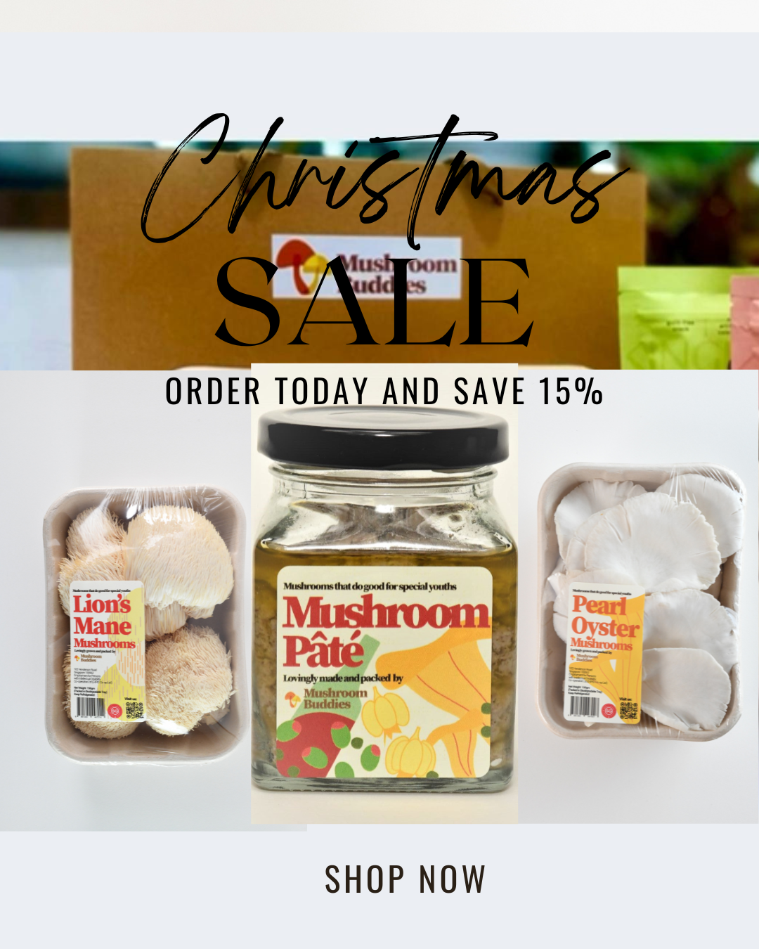 🎄 Christmas Promo (now till year end!)  Last day for deliveries is Monday 22 Dec 2025