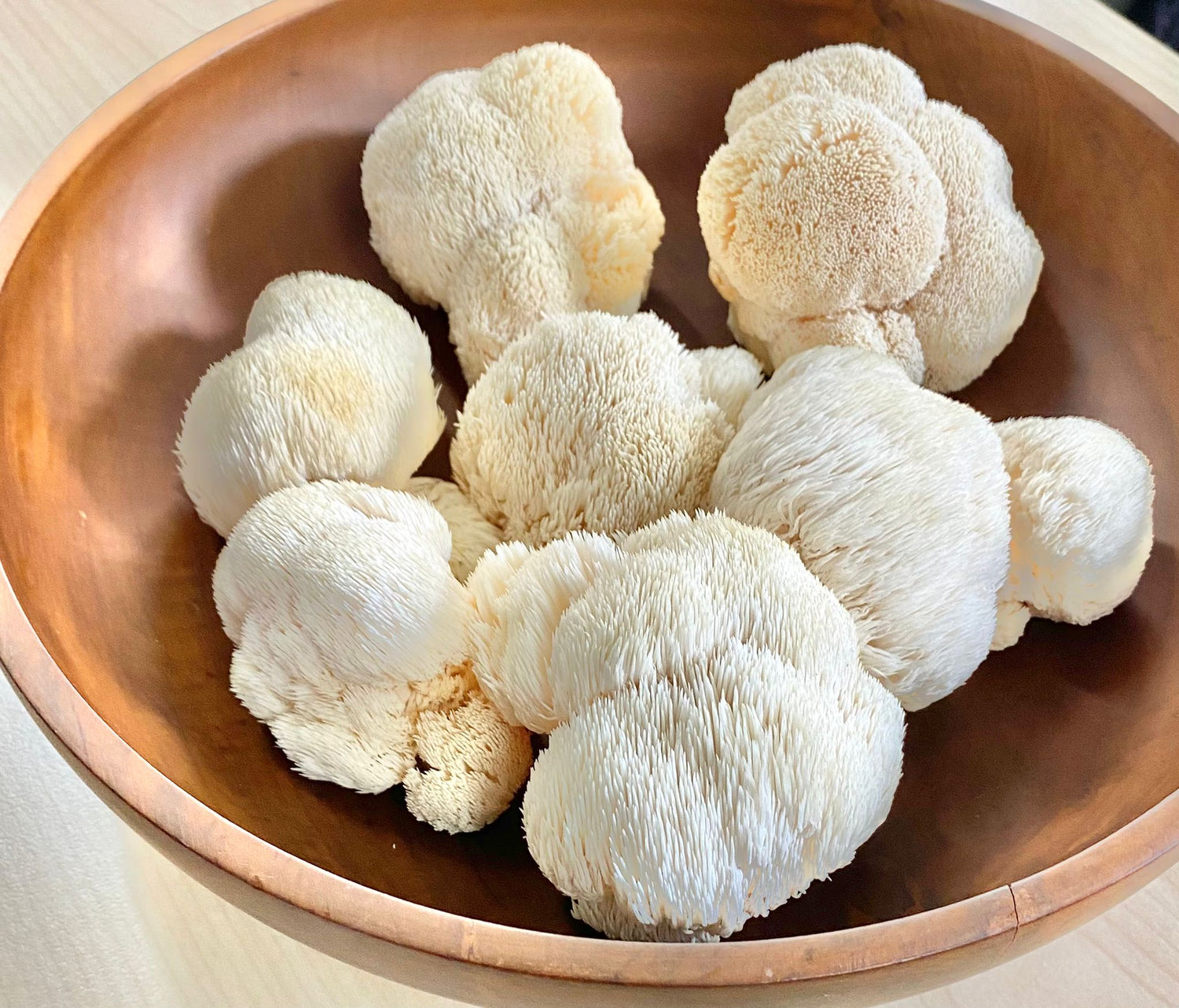 Lion’s Mane         Mushrooms  (150 g)